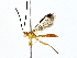  ( - BIOUG80750-C01)  @11 [ ] CreativeCommons - Attribution (2022) CBG Photography Group Centre for Biodiversity Genomics