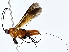  ( - BIOUG80750-G08)  @11 [ ] CreativeCommons - Attribution (2022) CBG Photography Group Centre for Biodiversity Genomics