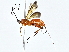  ( - BIOUG80750-G09)  @11 [ ] CreativeCommons - Attribution (2022) CBG Photography Group Centre for Biodiversity Genomics