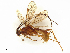 ( - BIOUG82916-C06)  @11 [ ] CreativeCommons - Attribution Share - Alike (2024) CBG Photography Group Centre for Biodiversity Genomics