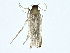  ( - BIOUG73631-E04)  @11 [ ] CreativeCommons - Attribution (2022) CBG Photography Group Centre for Biodiversity Genomics