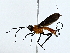  ( - BIOUG73631-F03)  @11 [ ] CreativeCommons - Attribution (2022) CBG Photography Group Centre for Biodiversity Genomics