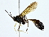  ( - BIOUG73631-F04)  @11 [ ] CreativeCommons - Attribution (2022) CBG Photography Group Centre for Biodiversity Genomics