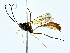  ( - BIOUG73631-F08)  @11 [ ] CreativeCommons - Attribution (2022) CBG Photography Group Centre for Biodiversity Genomics