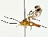  ( - BIOUG80710-A02)  @11 [ ] CreativeCommons - Attribution (2022) CBG Photography Group Centre for Biodiversity Genomics