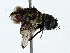  ( - BIOUG80710-E12)  @11 [ ] CreativeCommons - Attribution (2022) CBG Photography Group Centre for Biodiversity Genomics