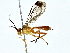  ( - BIOUG80711-A09)  @11 [ ] CreativeCommons - Attribution (2022) CBG Photography Group Centre for Biodiversity Genomics