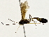  ( - BIOUG80711-C01)  @11 [ ] CreativeCommons - Attribution (2022) CBG Photography Group Centre for Biodiversity Genomics