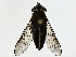  ( - BIOUG80711-G02)  @11 [ ] CreativeCommons - Attribution (2022) CBG Photography Group Centre for Biodiversity Genomics