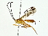  ( - BIOUG80712-A02)  @11 [ ] CreativeCommons - Attribution (2022) CBG Photography Group Centre for Biodiversity Genomics