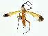  ( - BIOUG80712-A03)  @11 [ ] CreativeCommons - Attribution (2022) CBG Photography Group Centre for Biodiversity Genomics