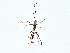  ( - BIOUG80712-A07)  @11 [ ] CreativeCommons - Attribution (2022) CBG Photography Group Centre for Biodiversity Genomics