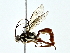  ( - BIOUG80712-A11)  @11 [ ] CreativeCommons - Attribution (2022) CBG Photography Group Centre for Biodiversity Genomics