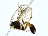  ( - BIOUG80712-B09)  @11 [ ] CreativeCommons - Attribution (2022) CBG Photography Group Centre for Biodiversity Genomics