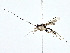  ( - BIOUG80751-G08)  @11 [ ] CreativeCommons - Attribution (2022) CBG Photography Group Centre for Biodiversity Genomics