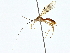  ( - BIOUG80752-B06)  @11 [ ] CreativeCommons - Attribution (2022) CBG Photography Group Centre for Biodiversity Genomics