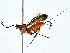  ( - BIOUG80752-D09)  @11 [ ] CreativeCommons - Attribution (2022) CBG Photography Group Centre for Biodiversity Genomics