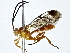  ( - BIOUG80752-E12)  @11 [ ] CreativeCommons - Attribution (2022) CBG Photography Group Centre for Biodiversity Genomics