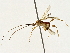  ( - BIOUG80753-B01)  @11 [ ] CreativeCommons - Attribution (2022) CBG Photography Group Centre for Biodiversity Genomics