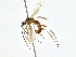  ( - BIOUG80753-C03)  @11 [ ] CreativeCommons - Attribution (2022) CBG Photography Group Centre for Biodiversity Genomics