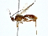  ( - BIOUG80753-C06)  @11 [ ] CreativeCommons - Attribution (2022) CBG Photography Group Centre for Biodiversity Genomics