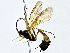  ( - BIOUG80753-F12)  @11 [ ] CreativeCommons - Attribution (2022) CBG Photography Group Centre for Biodiversity Genomics