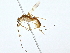  ( - BIOUG80753-G10)  @11 [ ] CreativeCommons - Attribution (2022) CBG Photography Group Centre for Biodiversity Genomics