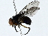  ( - BIOUG80753-G12)  @11 [ ] CreativeCommons - Attribution (2022) CBG Photography Group Centre for Biodiversity Genomics