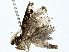  ( - BIOUG80754-D09)  @11 [ ] CreativeCommons - Attribution (2022) CBG Photography Group Centre for Biodiversity Genomics