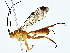  ( - BIOUG80754-F05)  @11 [ ] CreativeCommons - Attribution (2022) CBG Photography Group Centre for Biodiversity Genomics