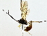  ( - BIOUG80754-G02)  @11 [ ] CreativeCommons - Attribution (2022) CBG Photography Group Centre for Biodiversity Genomics