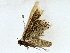  ( - BIOUG80755-B11)  @11 [ ] CreativeCommons - Attribution (2022) CBG Photography Group Centre for Biodiversity Genomics