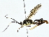  ( - BIOUG80755-E04)  @11 [ ] CreativeCommons - Attribution (2022) CBG Photography Group Centre for Biodiversity Genomics