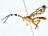  ( - BIOUG80755-F07)  @11 [ ] CreativeCommons - Attribution (2022) CBG Photography Group Centre for Biodiversity Genomics