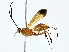  ( - BIOUG80756-D10)  @11 [ ] CreativeCommons - Attribution (2022) CBG Photography Group Centre for Biodiversity Genomics