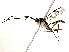  ( - BIOUG80756-F01)  @11 [ ] CreativeCommons - Attribution (2022) CBG Photography Group Centre for Biodiversity Genomics