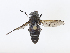  ( - CBG-A08766-C09)  @11 [ ] CreativeCommons - Attribution Share - Alike (2023) CBG Photography Group Centre for Biodiversity Genomics