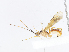  ( - CBG-A08766-F05)  @11 [ ] CreativeCommons - Attribution Share - Alike (2023) CBG Photography Group Centre for Biodiversity Genomics