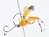  ( - CBG-A08766-F10)  @11 [ ] CreativeCommons - Attribution Share - Alike (2023) CBG Photography Group Centre for Biodiversity Genomics
