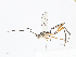  ( - CBG-A08767-B10)  @11 [ ] CreativeCommons - Attribution Share-Alike (2023) CBG Photography Group Centre for Biodiversity Genomics