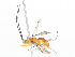  ( - CBG-A08767-H03)  @11 [ ] CreativeCommons - Attribution Share-Alike (2023) CBG Photography Group Centre for Biodiversity Genomics