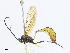  ( - CBG-A08768-B03)  @11 [ ] CreativeCommons - Attribution Share - Alike (2023) CBG Photography Group Centre for Biodiversity Genomics