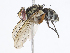  ( - CBG-A08768-C05)  @11 [ ] CreativeCommons - Attribution Share - Alike (2023) CBG Photography Group Centre for Biodiversity Genomics
