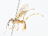  ( - CBG-A08768-D09)  @11 [ ] CreativeCommons - Attribution Share - Alike (2023) CBG Photography Group Centre for Biodiversity Genomics