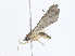  ( - CBG-A08769-B04)  @11 [ ] CreativeCommons - Attribution Share - Alike (2023) CBG Photography Group Centre for Biodiversity Genomics