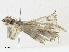  ( - CBG-A16691-C10)  @11 [ ] CreativeCommons - Attribution Share - Alike (2023) CBG Photography Group Centre for Biodiversity Genomics