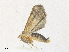  ( - CBG-A36872-C03)  @11 [ ] CreativeCommons - Attribution Share - Alike (2024) CBG Photography Group Centre for Biodiversity Genomics