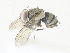  ( - CBG-A36872-C08)  @11 [ ] CreativeCommons - Attribution Share - Alike (2024) CBG Photography Group Centre for Biodiversity Genomics