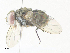  ( - CBG-A36872-C11)  @11 [ ] CreativeCommons - Attribution Share - Alike (2024) CBG Photography Group Centre for Biodiversity Genomics