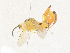  (chalMalaise9827 - CBG-A38513-B06)  @11 [ ] CreativeCommons - Attribution Share - Alike (2024) CBG Photography Group Centre for Biodiversity Genomics